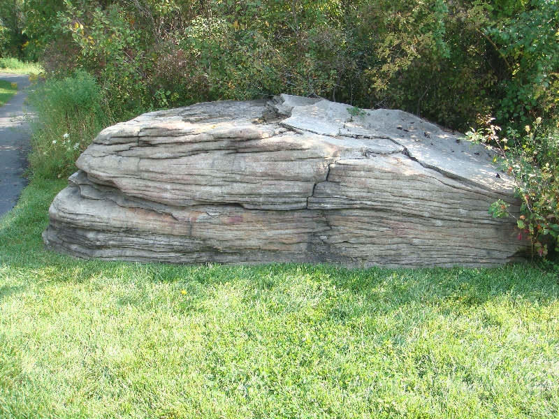Western Michigan [2009] 263.JPG - Scenes from Frederik Meijer Gardens & Sculpture Park.